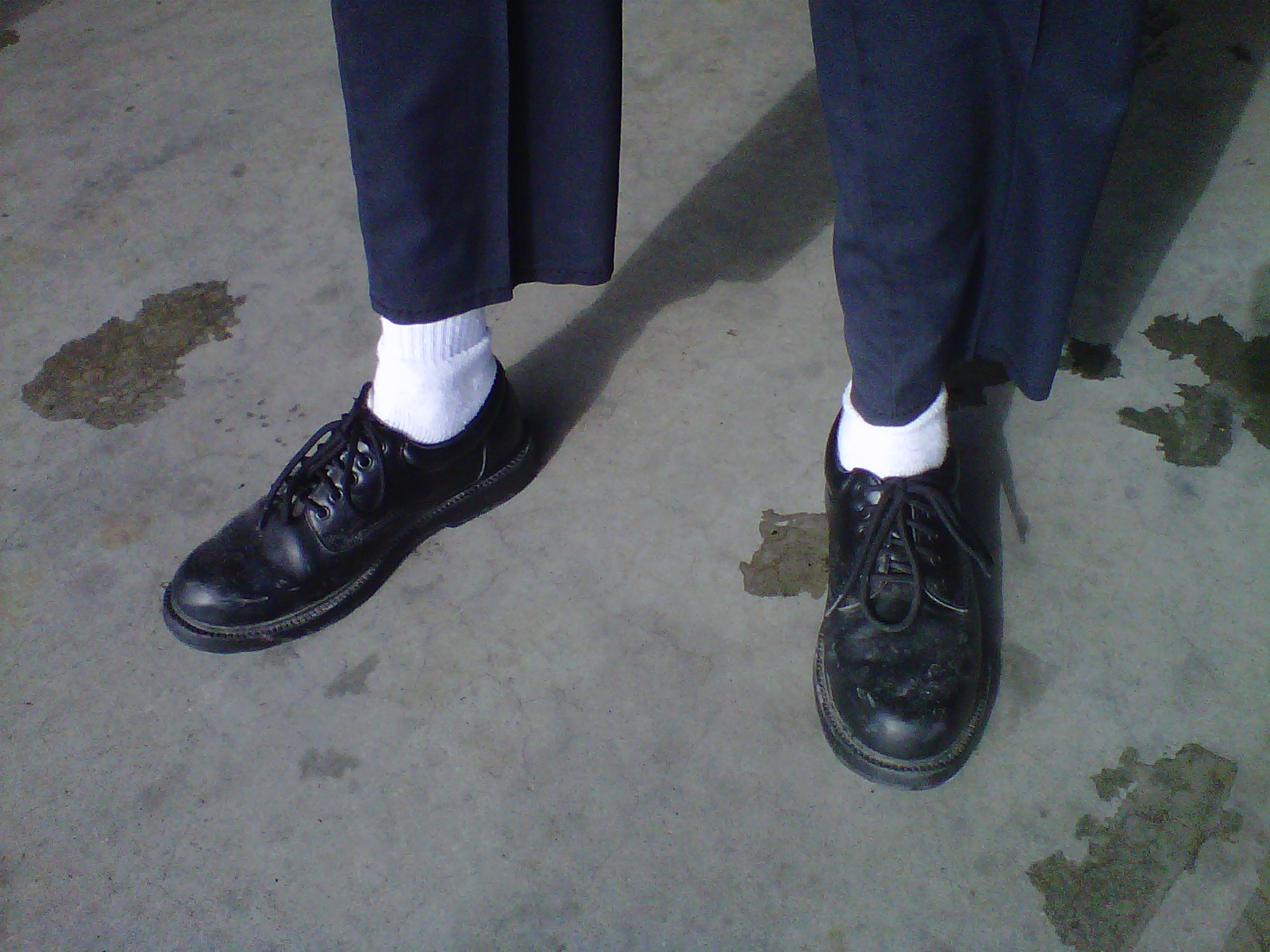 grey socks black shoes